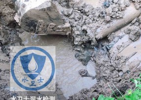 奉贤区水管漏水检测公司5